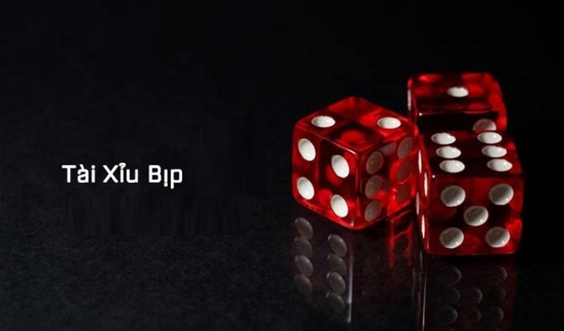 Tài Xỉu Bịp - Thế Giới Ngầm Của Những Cạm Bẫy Tinh Vi